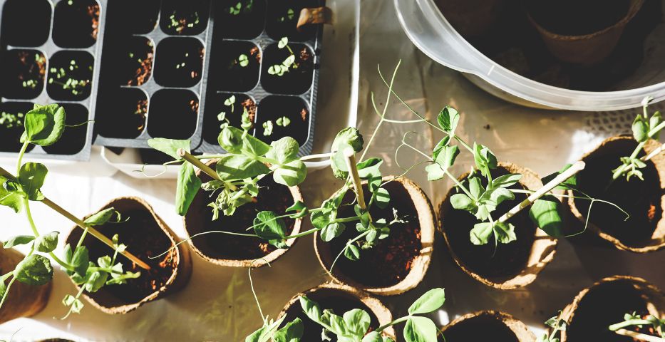 Gather Market Upcoming Events